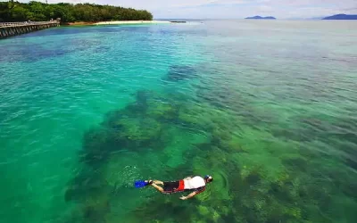 snorkeling-green-island